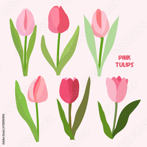 Wallpaper Mural Set with tulips flowers. Spring plants. Pink, burgundy, green. For design of postcards, patterns, etc., notebooks. Torontodigital.ca