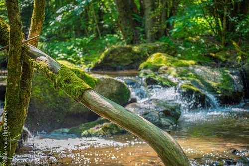 Wildromantisches Tal der Drohn bei Morbach im Hunsrück photo