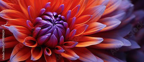 A close up photograph of a vibrant flower © Data