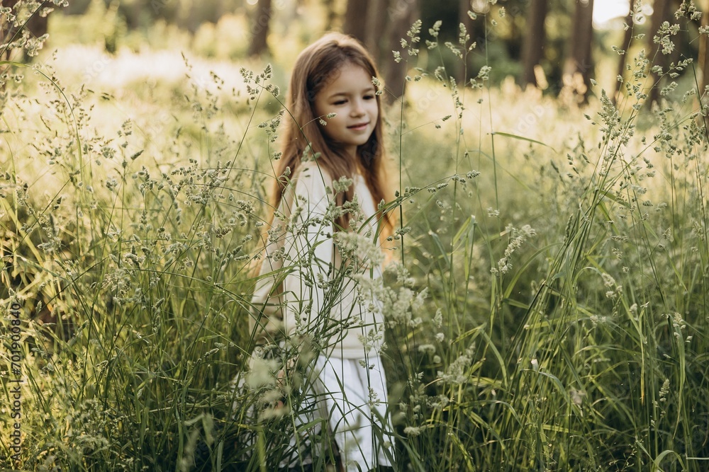 portrait of a cute smiling girl with beautiful hair posing for a photo in the middle of tall grass in a coniferous forest at sunset portrait of a cute smiling girl with beautiful hair posing for a photo in the middle of tall grass in a coniferous forest at sunset