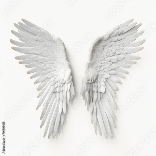 White Angel wings isolated on white background 