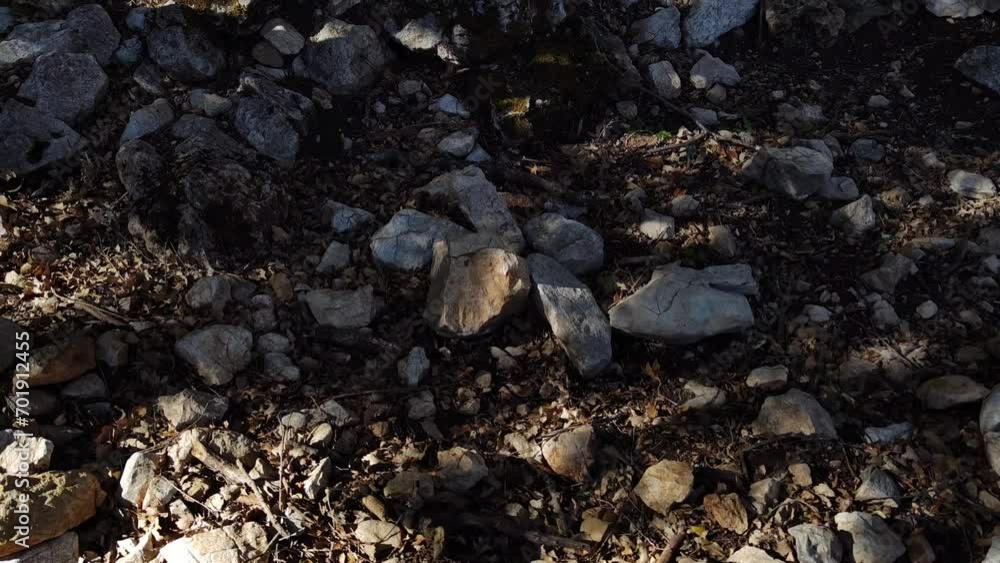 The shadows of the tree are projected both on the ground and on the stones The shadows of the tree are projected both on the ground and on the stones