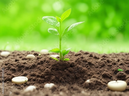 Earth day concept. Young plants grow in soil