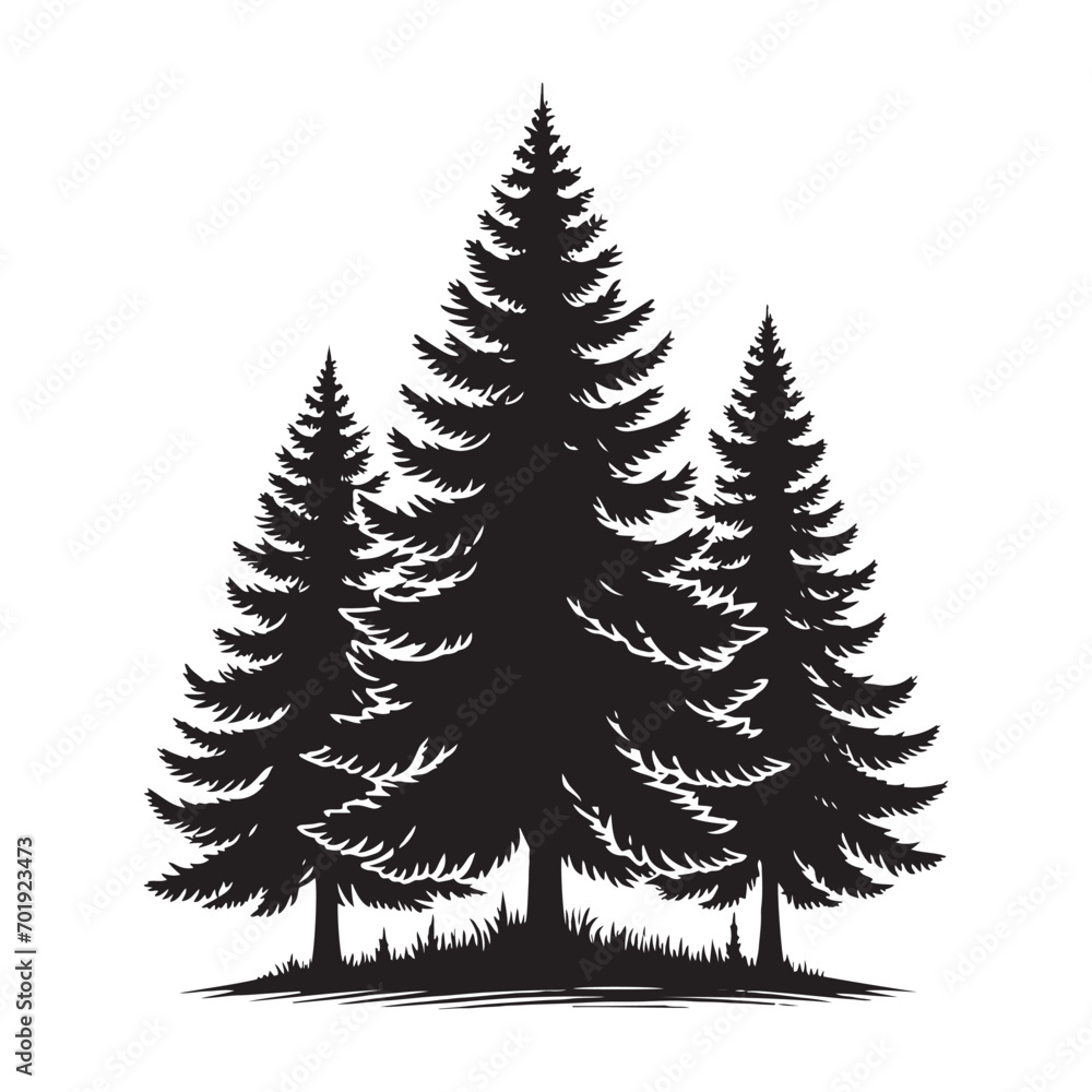 Enchanting Pine Tree Silhouette - Vector Graphic for Creative Expression
