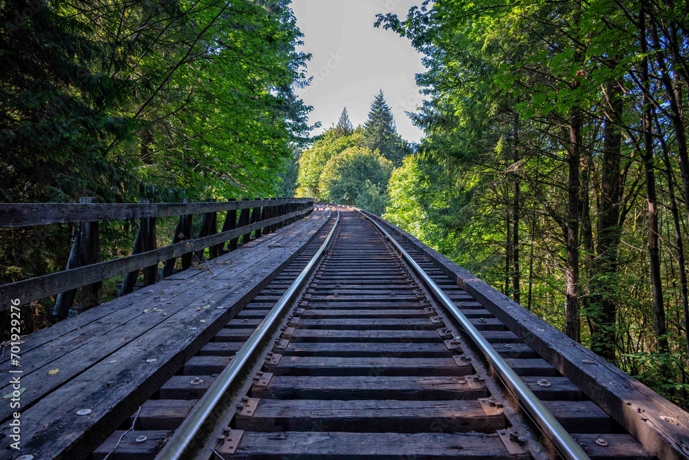 Railroad in the forrest
