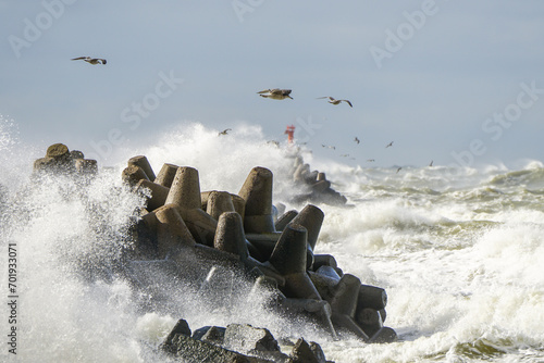 Canvas Print High waves crash against the concrete tetrapods of the harbor breakwater with wh