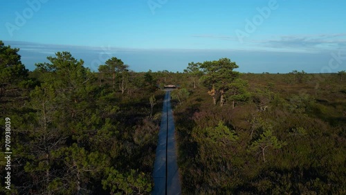 Bird's-eye view over Tuhu's Estonian swamp photo