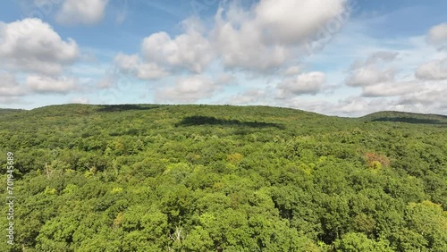 landscape with grass and sky