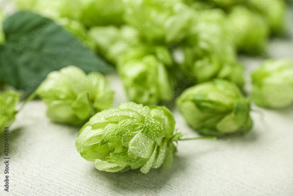Fresh green hops on grunge background Fresh green hops on grunge background
