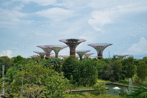 super trees in singapore