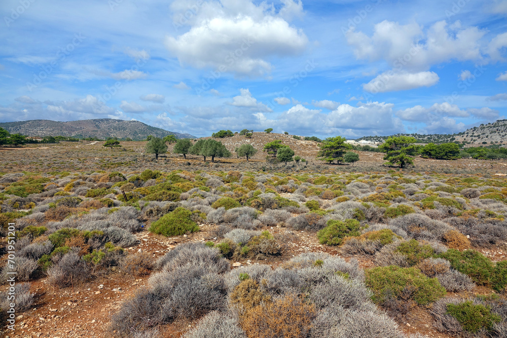 Landschaft bei Charaki auf Rhodos