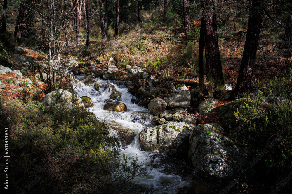 river with swirling water and rocks in the forest, beautiful scenery with rushing water in the river river with swirling water and rocks in the forest, beautiful scenery with rushing water in the river