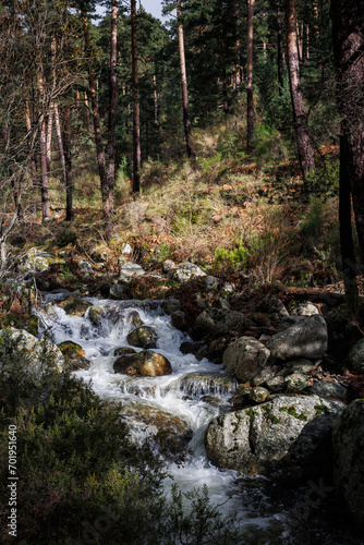 Fototapeta Naklejka Na Ścianę i Meble -  river with swirling water and rocks in the forest, beautiful scenery with rushing water in the river
