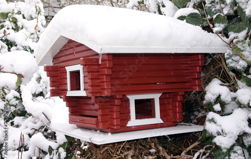 Futterhaeuschen im Winter photo