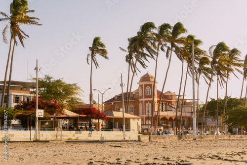 beach with trees and umbrellas © Guillermo