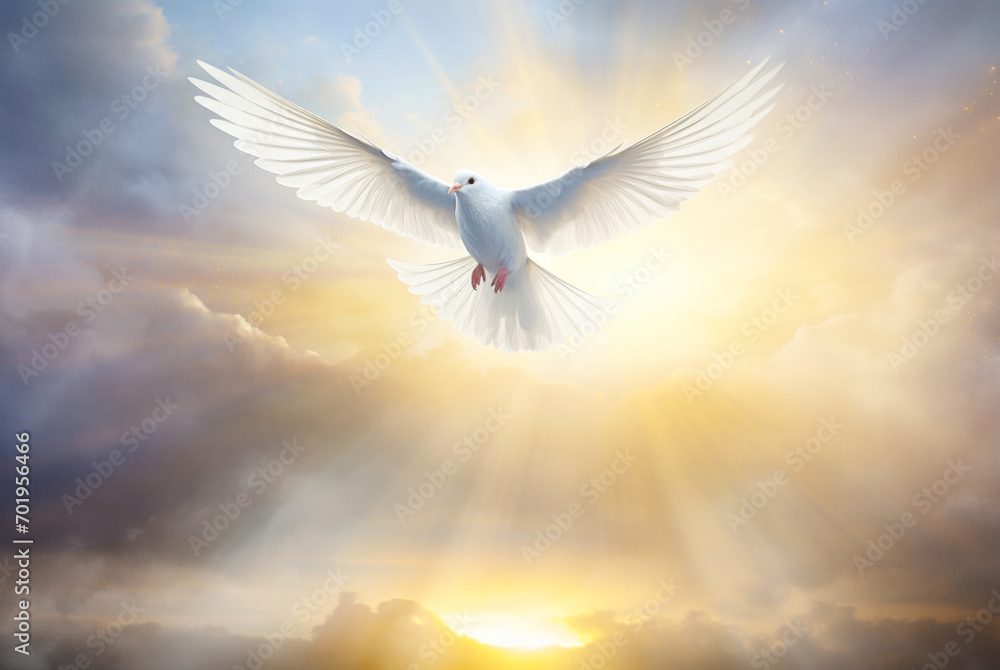 White Dove of Peace in the Air with Wings Wide Open