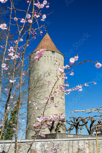 Tower Boyer in Romont, built in the 13th century, was a defensive system. Canton Freibourg, Switzerland