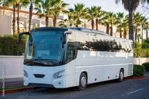 Tourist bus on the street with palm trees in the background