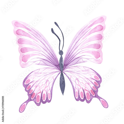 pink butterfly Watercolor colorful butterflies, isolated on white background. pink and lilac butterfly spring illustration Butterfly. Element for design, cards, spring web