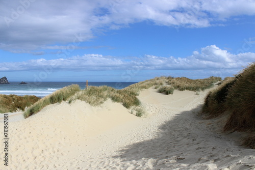 New zealand sandy beach white and green gras blue sky