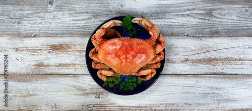 Overhead view of a single cooked large Dungeness crab on dark blue plate with white wooden table underneath