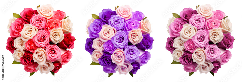 Roses bouquet in pink, purple and red colors over white transparent background