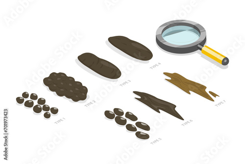 3D Isometric Flat Illustration of Bristol Stool Chart, Faeces Type Images and Description