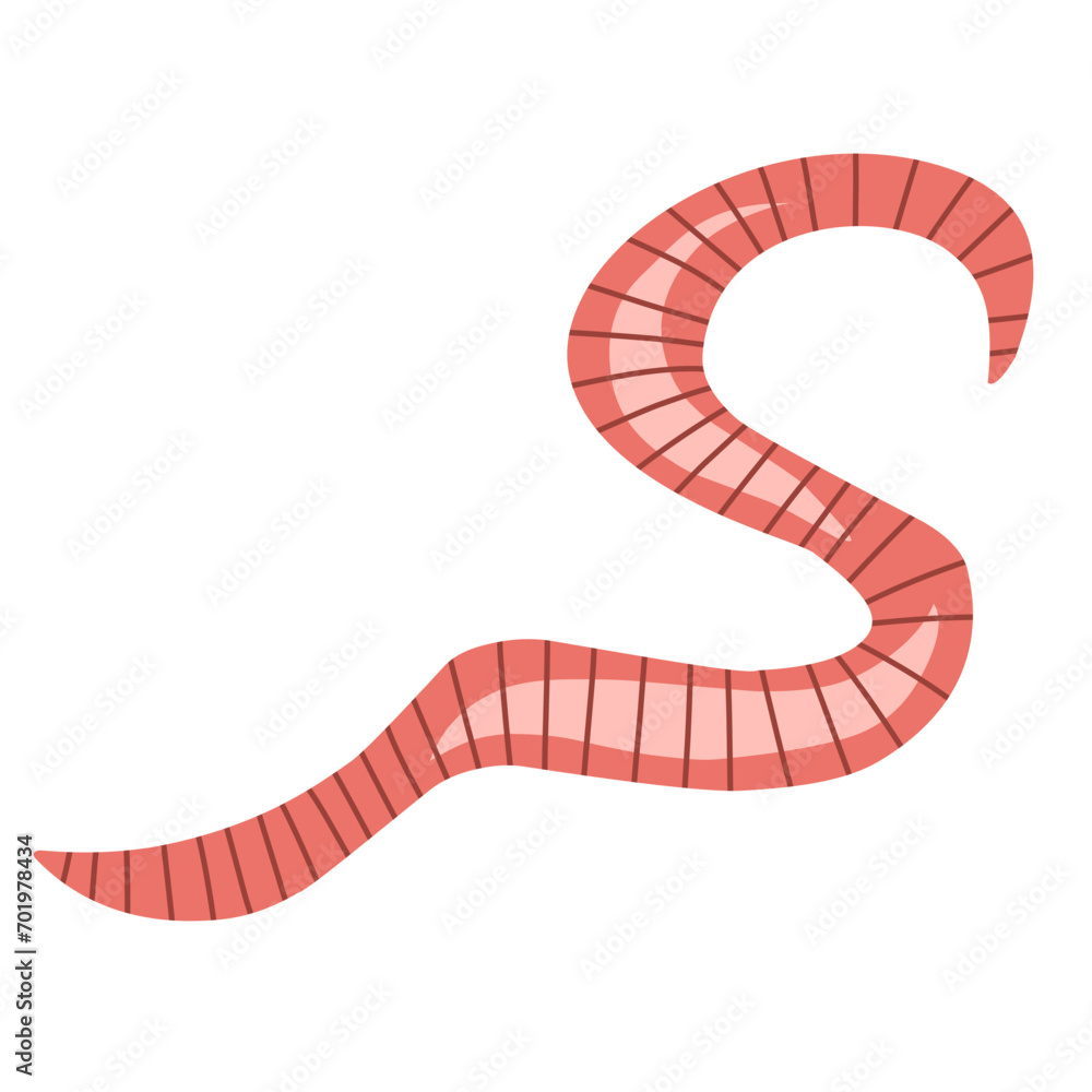 pinworm vector element pinworm vector element