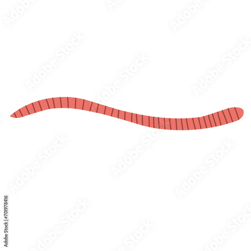 pinworm vector element