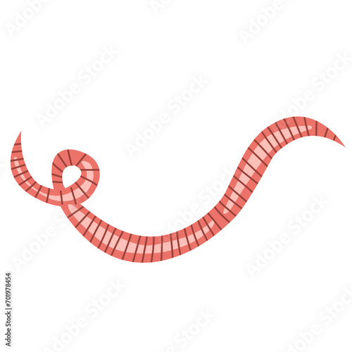 pinworm vector element