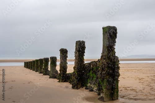 Groynes on Camber Sands on an autumn day  view of the beach and the English Channel  East Sussex  England