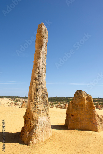 Obraz na płótnie The Pinnacles are limestone formations within Nambung National Park, near the town of Cervantes, Western Australia
w salonie
