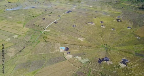 Aerial view of the Spider Rice Fields during harvest season near Ruteng, East Nusa Tenggara, Indonesia.  photo