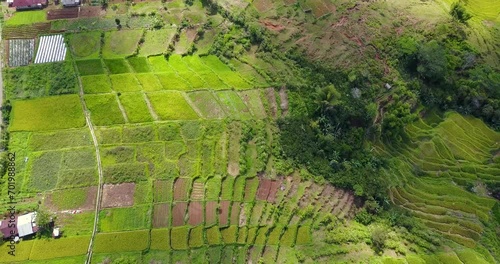 Aerial View of beautiful Lodok Cimpar Carep terrace rice fields on the outskirts of Ruteng, East Nusa Tenggara, Indonesia. photo