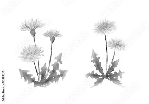 Wallpaper Mural たんぽぽの水墨画　墨絵 Torontodigital.ca