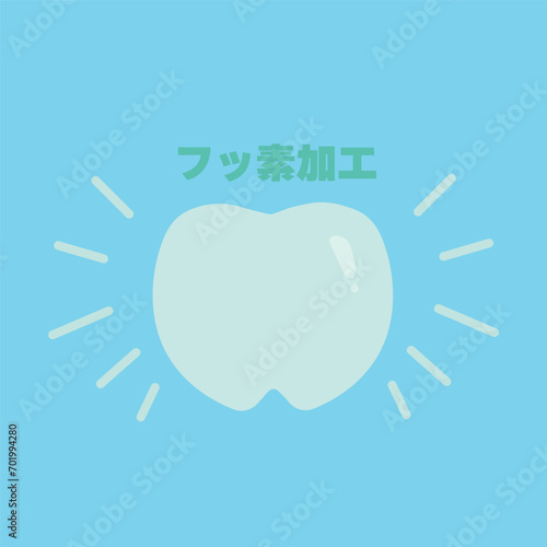 フッ素加工　コーティングした歯のイラスト2