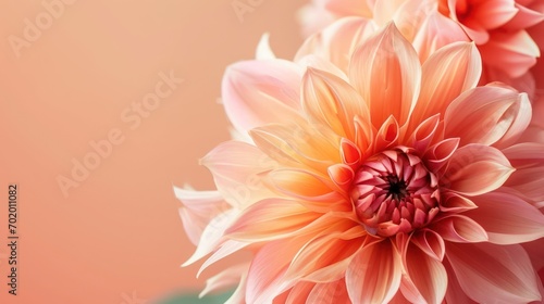 Beautiful flower, background with copy space