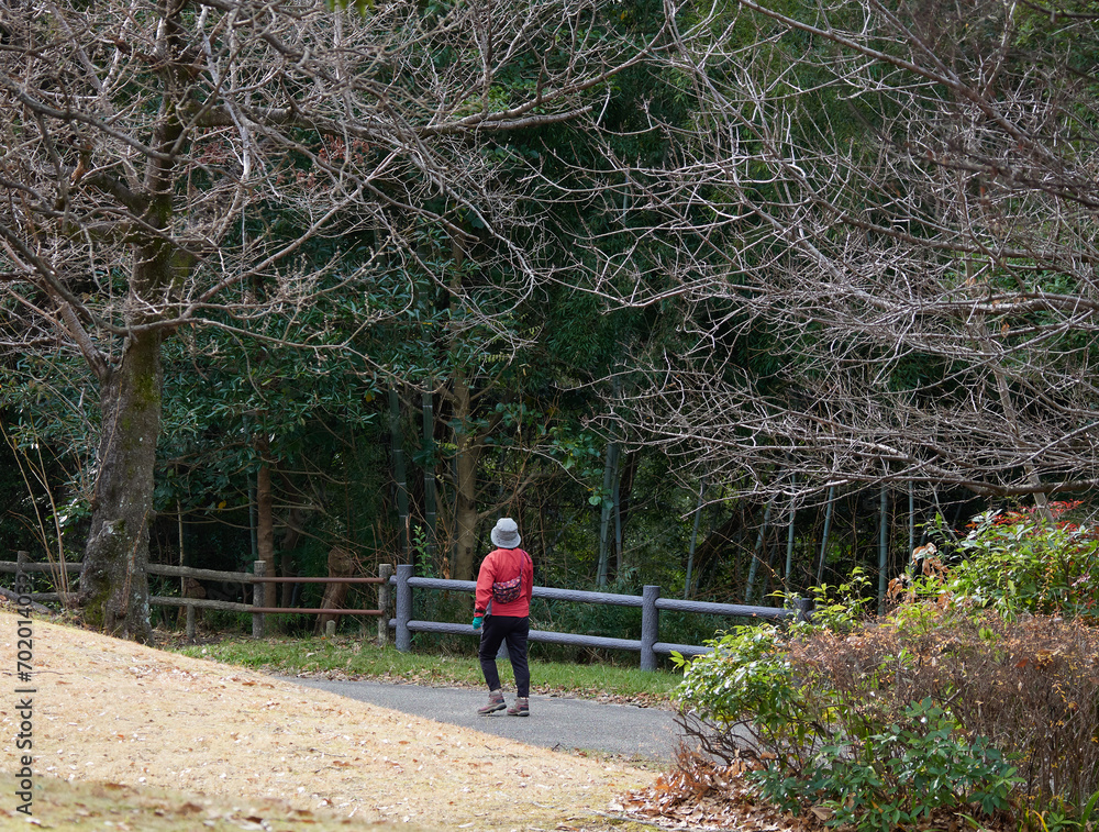 冬の朝の公園で散歩しているシニア女性の姿
