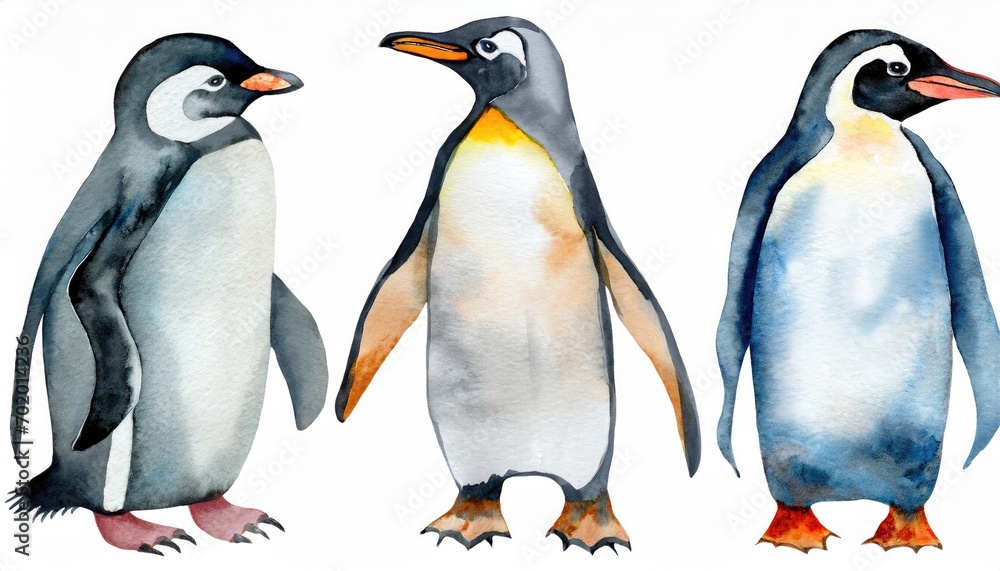 Obraz premium Group of emperor penguins at white isolated background.