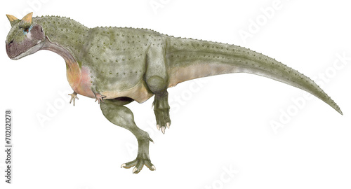 白亜紀後期の南半球における頂点捕食者、肉食恐竜カルノタウスルの雌雄の雄体として描いた。婚姻色として雌よりもやや体色に変化をつけた想像図。 photo
