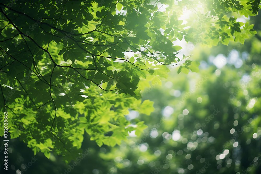 ecological background of blurred green leaves of trees ecological background of blurred green leaves of trees