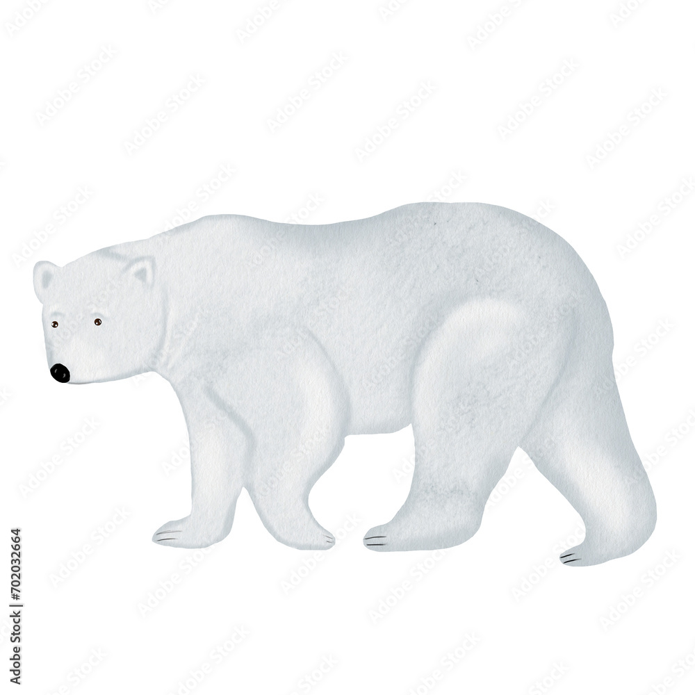Fototapeta premium Polar bear watercolor drawing isolate on a white background. Cute Teddy Bear for the design of children's cards and postcards.