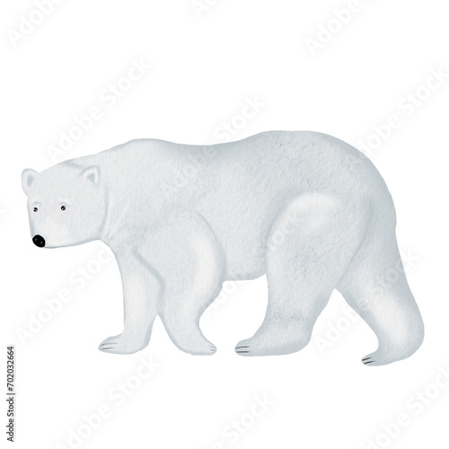 Polar bear watercolor drawing isolate on a white background. Cute Teddy Bear for the design of children s cards and postcards.