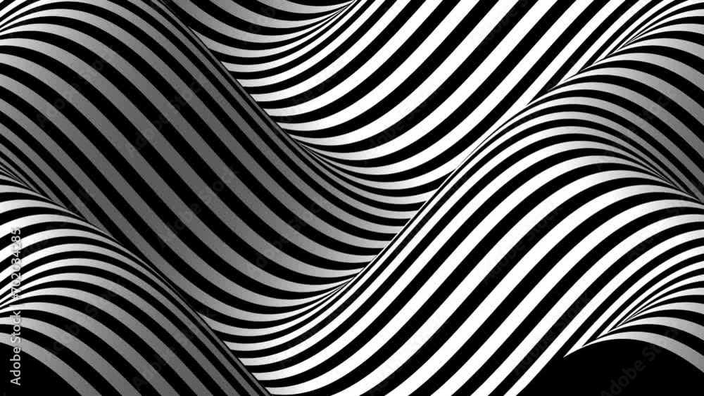 Black And White Monochrome Zebra Wave Animation Loop Black And White Monochrome Zebra Wave Animation Loop