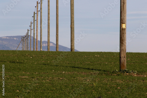 Field With Wire Poles