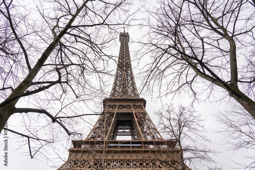 Eiffel in Paris whit tree tops
