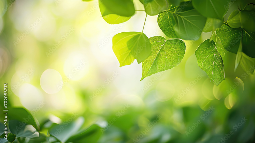 Green leaves on blur background, depicts a lush foliage backdrop. It's ideal for eco-friendly, nature-inspired, and organic-themed designs, such as websites, banners, or environmental campaigns. Green leaves on blur background, depicts a lush foliage backdrop. It's ideal for eco-friendly, nature-inspired, and organic-themed designs, such as websites, banners, or environmental campaigns.