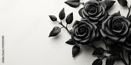 Fototapeta Naklejka Na Ścianę i Meble -  black rose on white background,copy space 