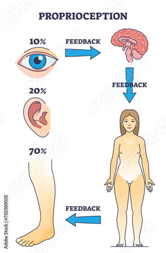 Proprioception or kinesthesia as body part sensory perception outline diagram. Labeled educational scheme with visual, movement and auditory information feedback to cortex vector illustration.