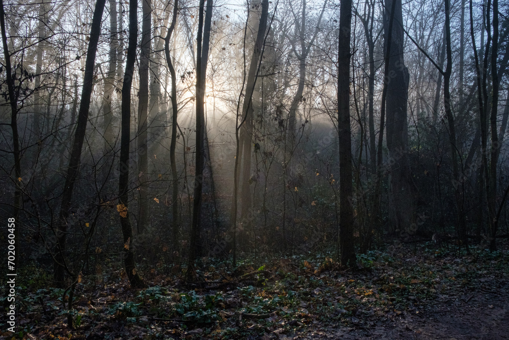 Obraz premium Rayons de soleil